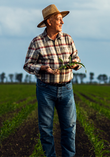 Farmer 4